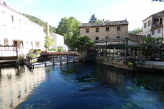 p1000566