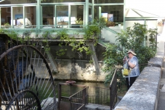 p1000568