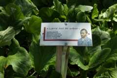 p1000747