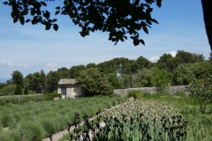 p1000775