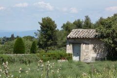 p1000776