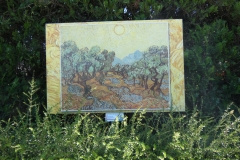 p1000780