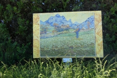 p1000781