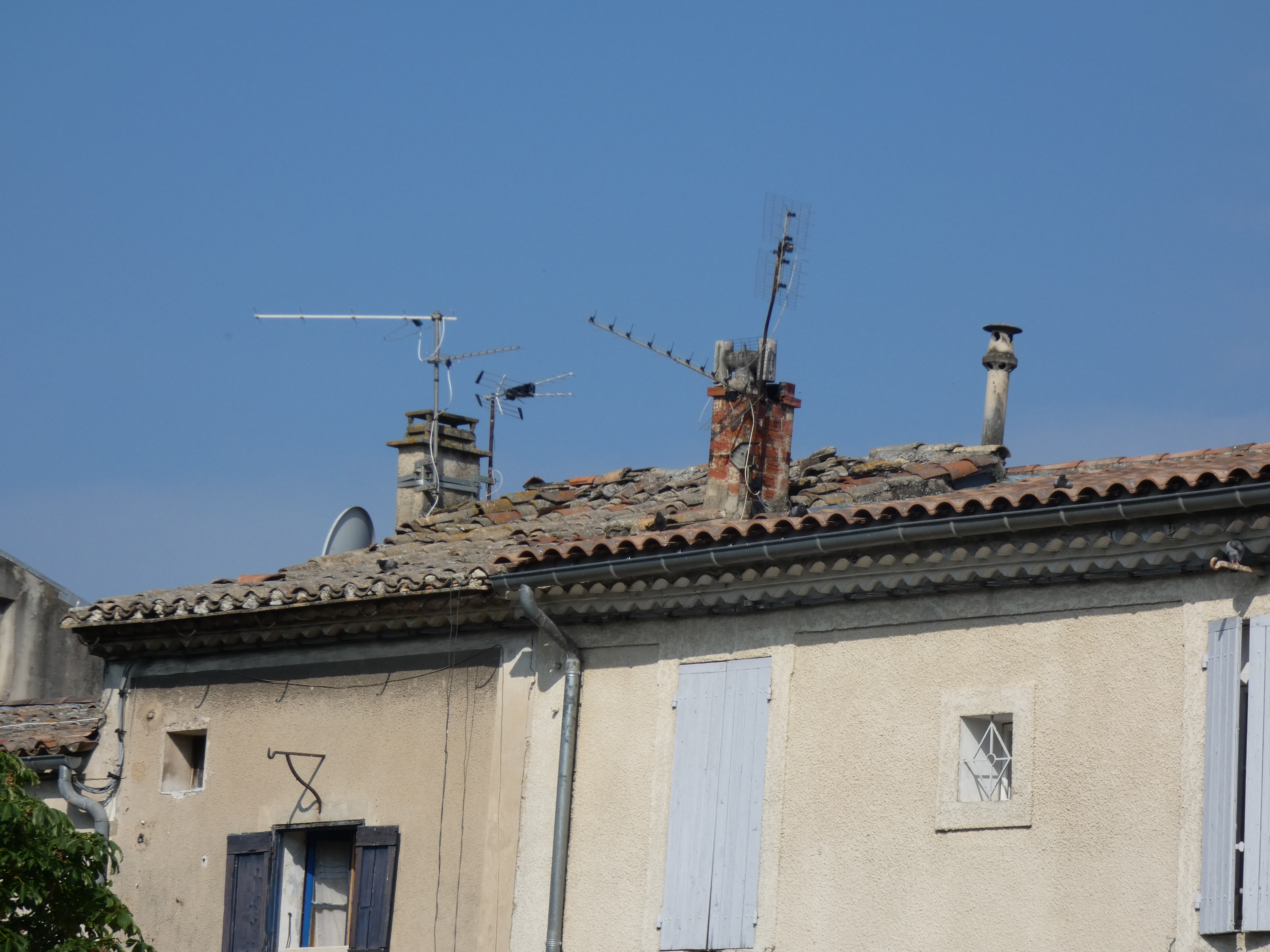 p1000796