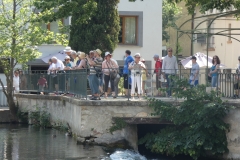 p1000886
