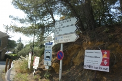 p1000979