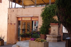 p1010007