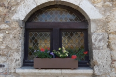 P1010190-1